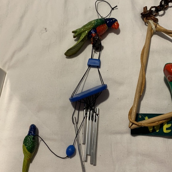 Parrots 🦜 - Picture 8 of 12